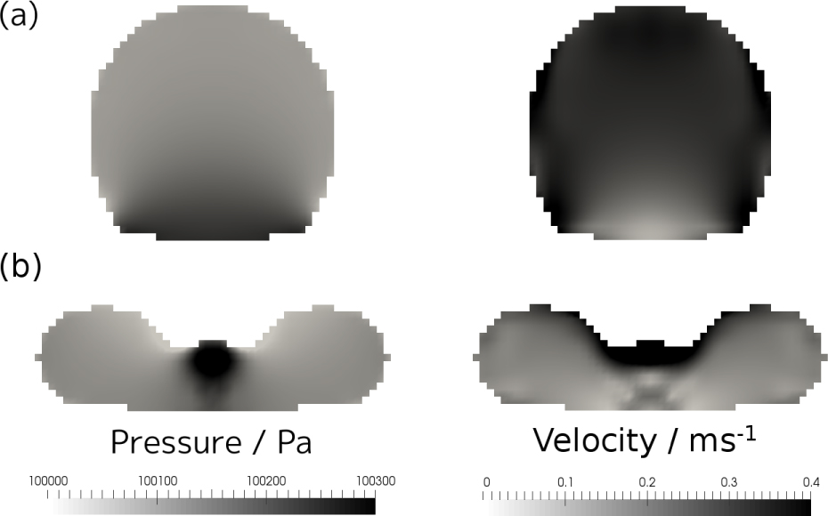 Figure 13 Pressure (left) and magnitude of the velocity (right) inside the drop, from a cross-sectional lateral view at the drop center (We = 7). (a) At the beginning of the impact (t = 2 ms), a pressure surge occurs at the bottom part of the drop, where magnitude of the velocity is nearly zero. and (b) At the retraction from the disk-shaped drop (t = 12 ms), the pressure-induced motion suppresses the retracting motion.