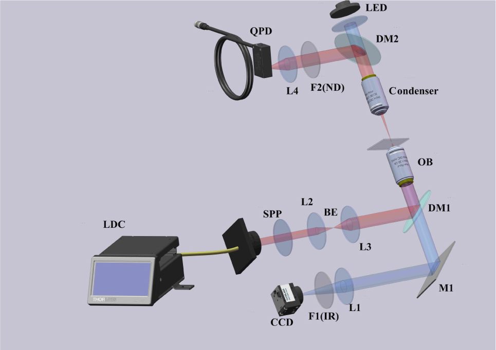 Figure 1 Schematic of the experimental setup. L-lens, M-reflection mirror, OB-objective lens, DM-dichroic mirror, LDC-laser diode and controller, BE-beam expander, F1(IR)-IR filters, F2(ND)-neutral density filters, CCD-charge coupled device, QPD-quadrant position detector, spp-Spiral phase plates, LED-Light-Emitting Diode.
