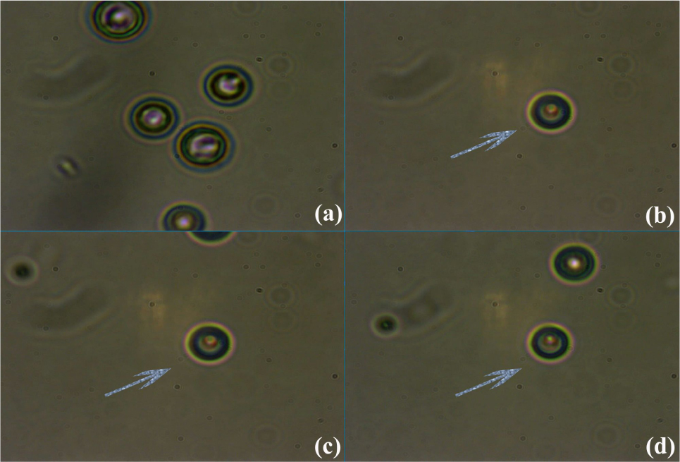 Figure 3 (a) A free particle; (b), (c), and (d) a captured particle (the arrow indicates the captured particle; the others are uncaptured microbubbles as a reference)