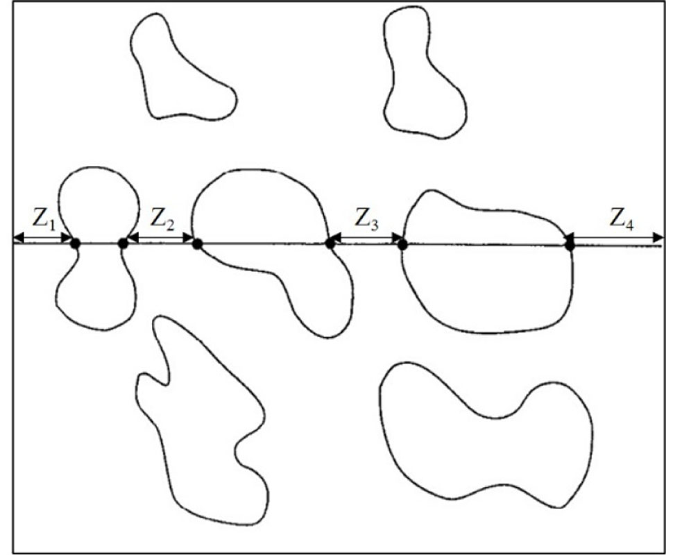 Figure 7 Schematic of chord-length measurements for a cross section of porous media. The chords are defined by intersection of lines with two-phase interface, closed curve area refers to rock matrix [32]
