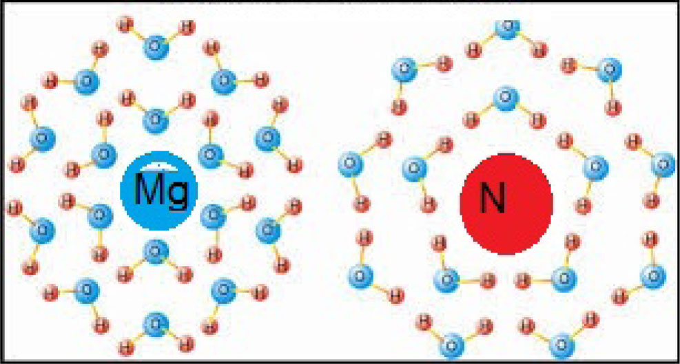 Figure 4 Changes in the structure of water around various atoms of DNA