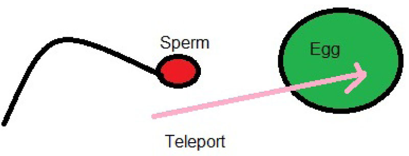 Figure 8 Sperm teleports into the egg
