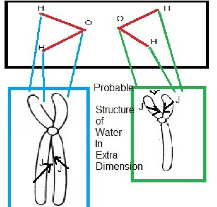 Figure 10 The DNA-like structure of water in extra dimensions