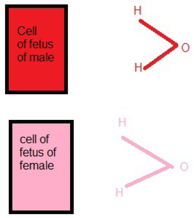 Figure 11 Determining the gender by using the water imaging technique