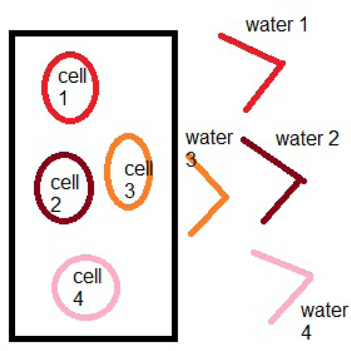 Figure 12 Considering the events interior of human’s body by using the water imaging technique