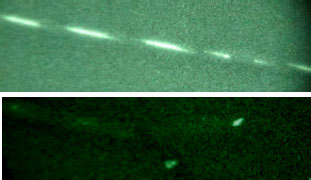 Figure 2 Pictures made on both twisted pairs in a deep darkness by a night vision device