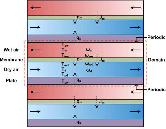 Figure 2 Computational domain of the plate-and-frame membrane humidifier