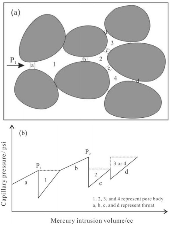 Figure 1 Rate-controlled mercury injection testing reservoir pore structure schematic. (a) Simplified schematic of pore body and throat configuration and (b) capillary pressure fluctuation and pore volume response