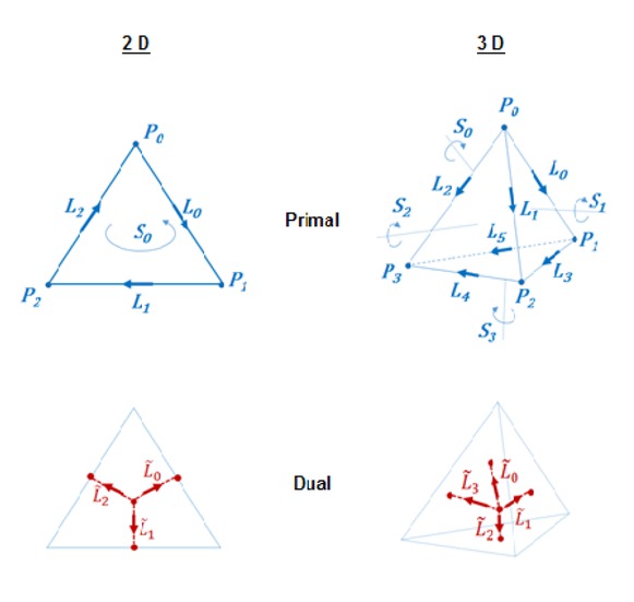 Figure 3 Cells in 2-D and 3-D
