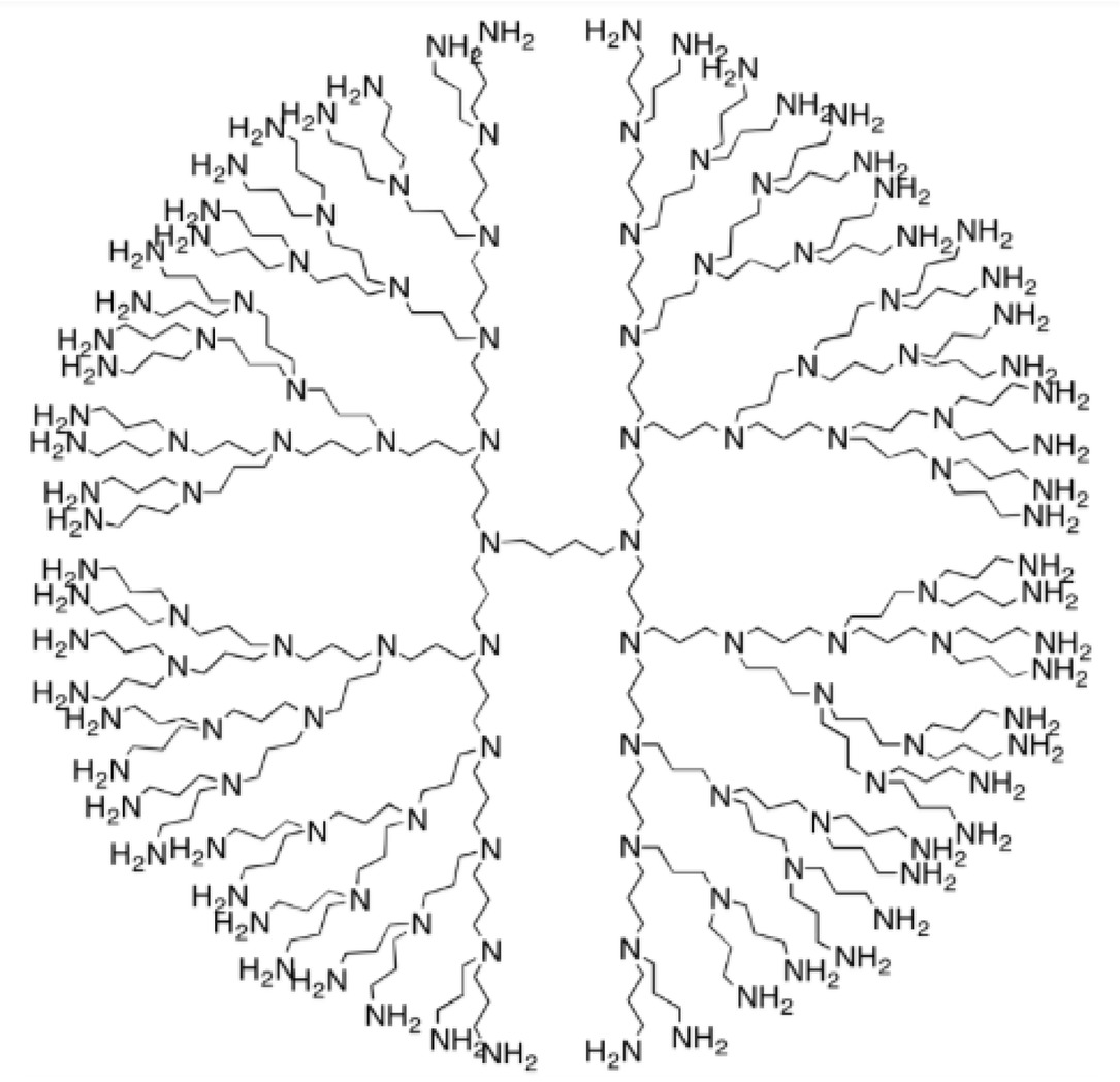 Figure 2 NS2 [n] polypropylenimineoctaamin dendrimer