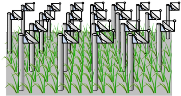 Figure 1 Solar-device placements in areas occupied by agricultural crops