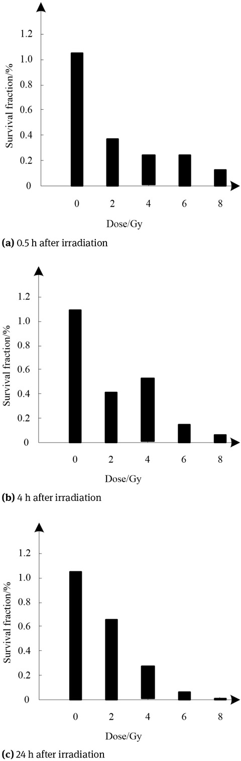 Figure 5 Effect of X-ray on the clone formation of HepG2 hepatoma cells