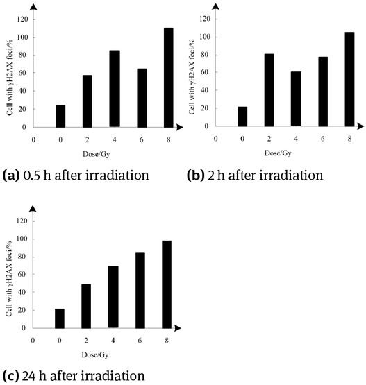 Figure 8 Time and dose effect of γH2AX focus formation in HepG2 hepatoma cells after X-ray irradiation