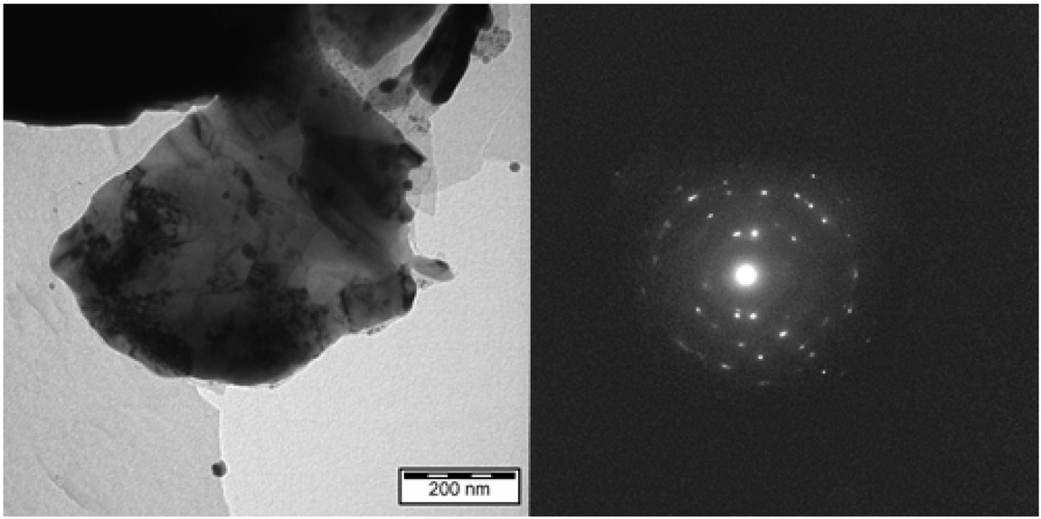 Figure 3 TEM records of the Human brain, globus pallidus. Irregular micrometer-sized hparticle (left) with diffraction pattern corresponding to hematite - α-Fe2O3 (right). Scale bar 3 = μm.