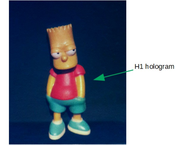Figure 5 Sealed full-color reflection H1 hologram under RGB LED illumination