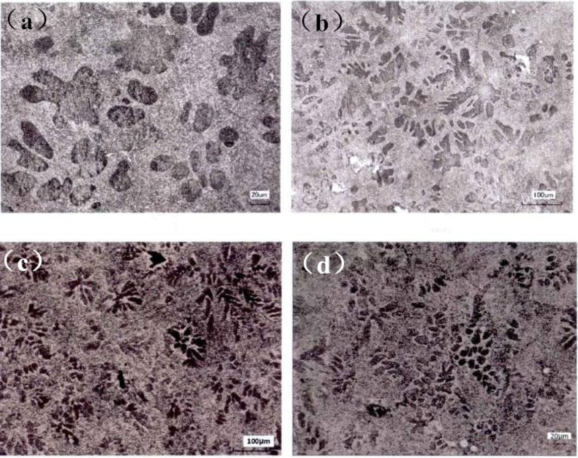 Figure 3 Structure of spheroidal graphite cast iron in different microscope modes
