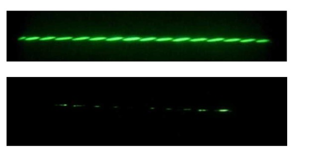 Figure 5 PDs pictures in both twisted pairs under identical voltages. Upper picture: standard enameled wire. Lower picture: enameled wire with the external semi-conductive layer.