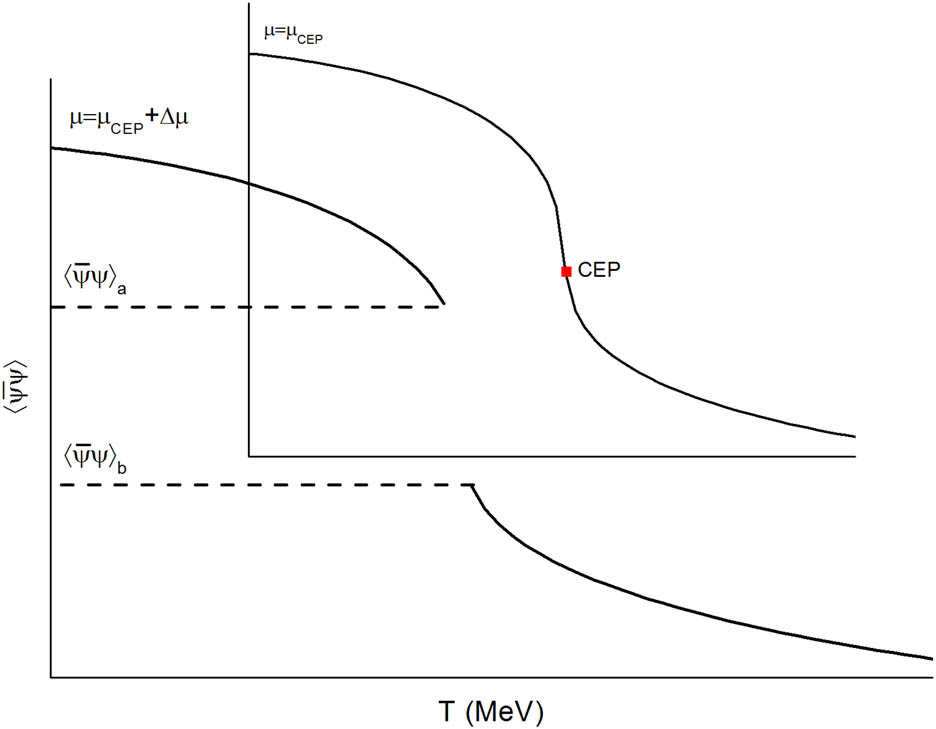 Figure 8 
                     Condensate discontinuity criterion.
                  