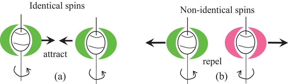 Figure 8
Postulate 8: Interactions between two ISpEFs. (a) Energy with the identical I-Spin attracts, and (b) non-identical spins repel each other.