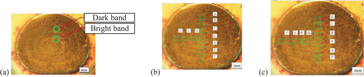 Figure 11 
                  The bright, dark band, and sampling positions of the tungsten sphere axial section.
               