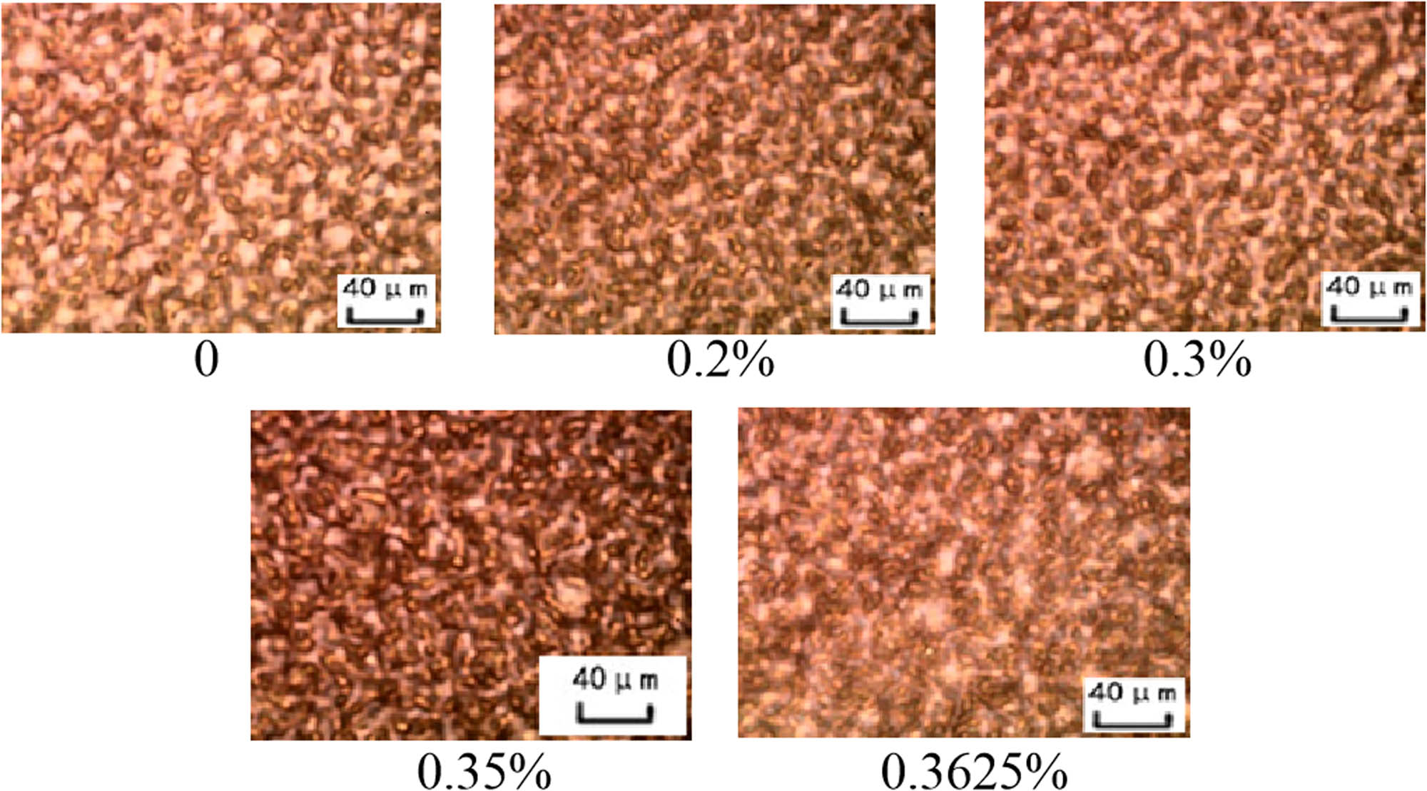 Figure 3 
                     The relationship among the microstructure and the percentage of HCl solution (5%; less than 0.3625%) in the first stage of the process – w/o emulsion.
                  