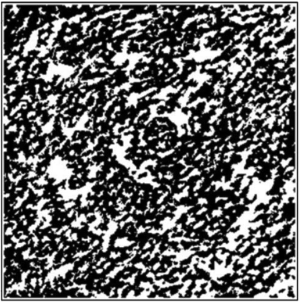 Figure 5
Internal structure of porous media.