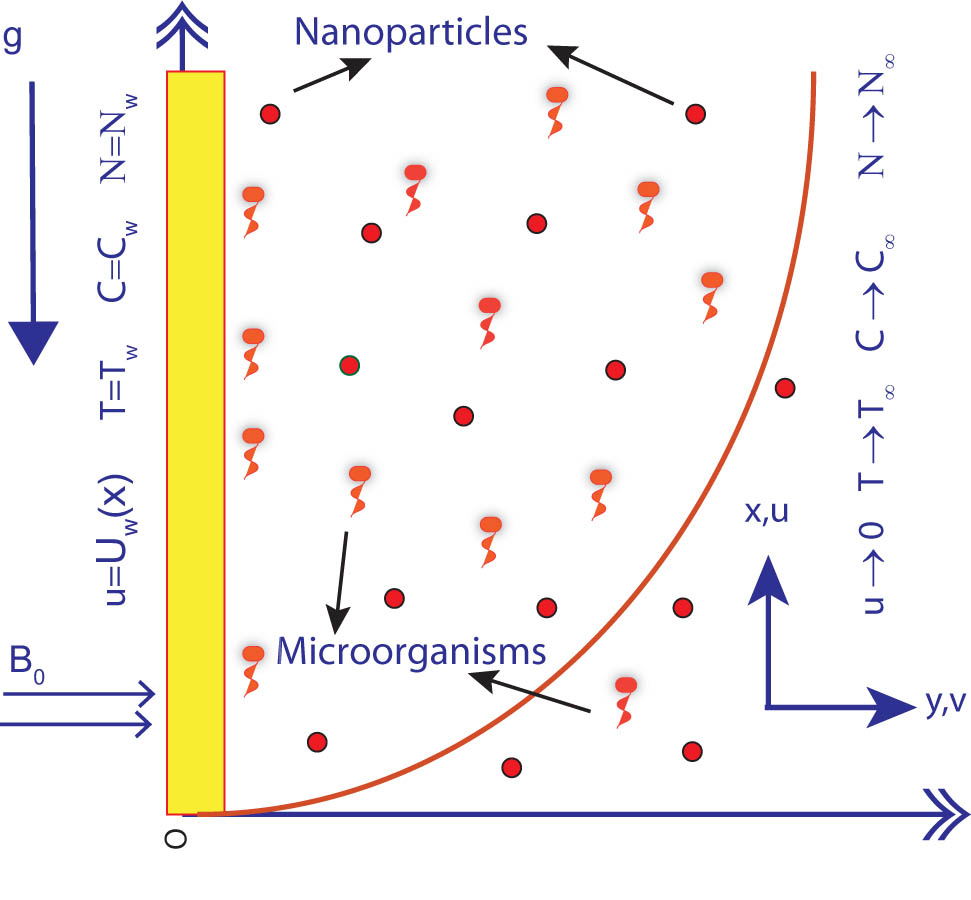 Figure 1 
               Schematic view of current flow.
            