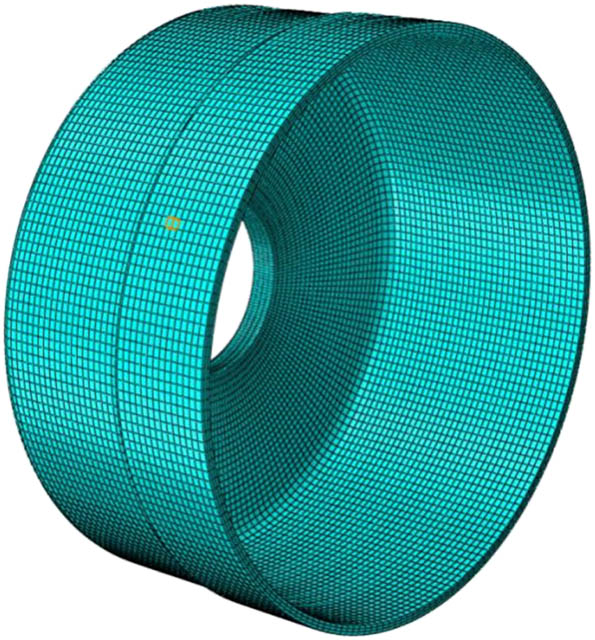 Figure 2 
                  Grid division of no. 10 flexspline.
               