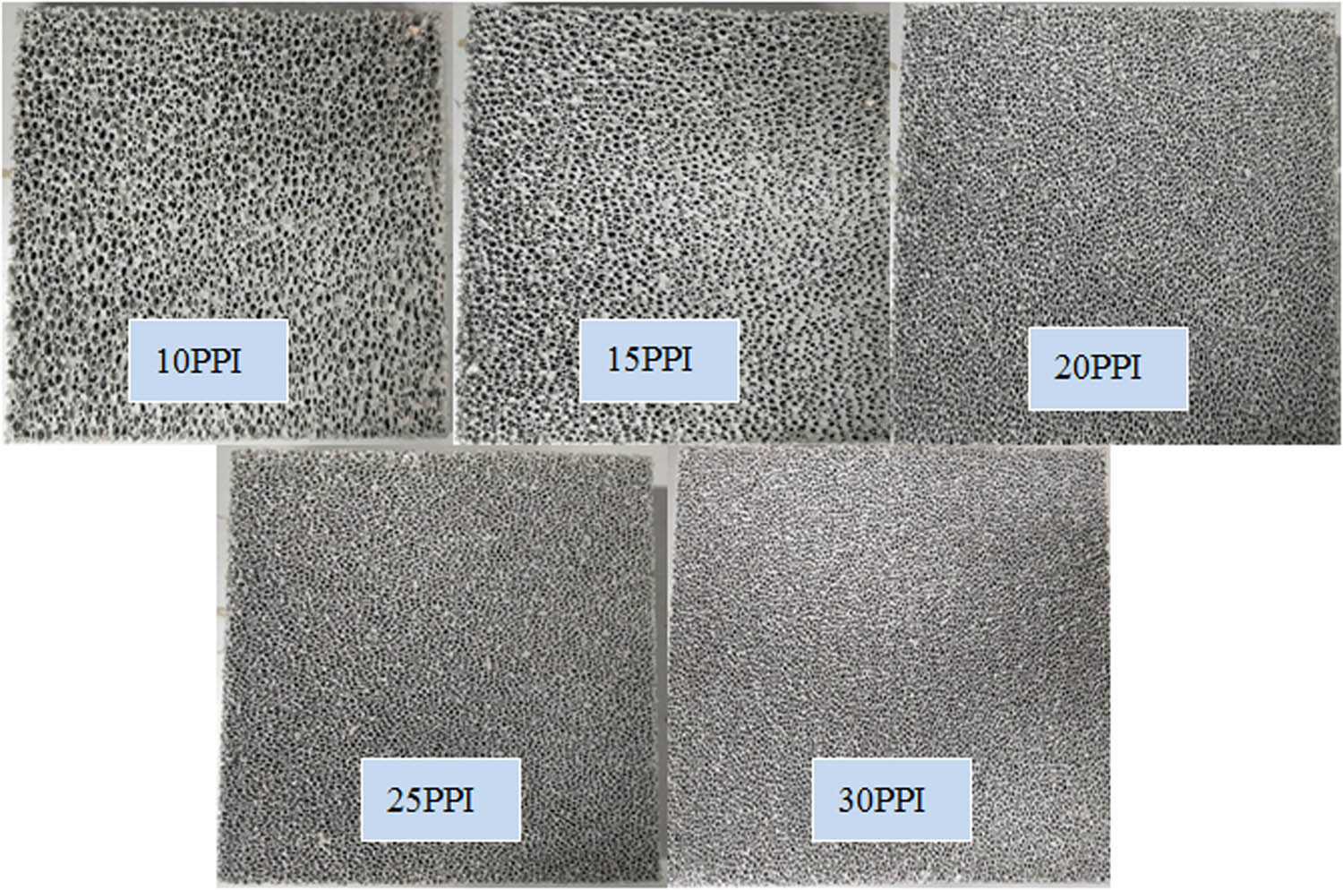 Figure 3 
                  Images of SiC foams.
               
