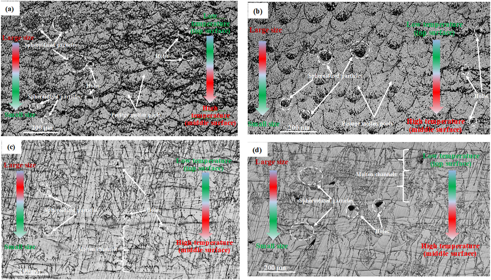 Figure 7
Metallographic phase of samples under different scanning speed: (a) 45 mm/min, (b) 35 mm/min, (c) 25 mm/min, and (d) 15 mm/min.
