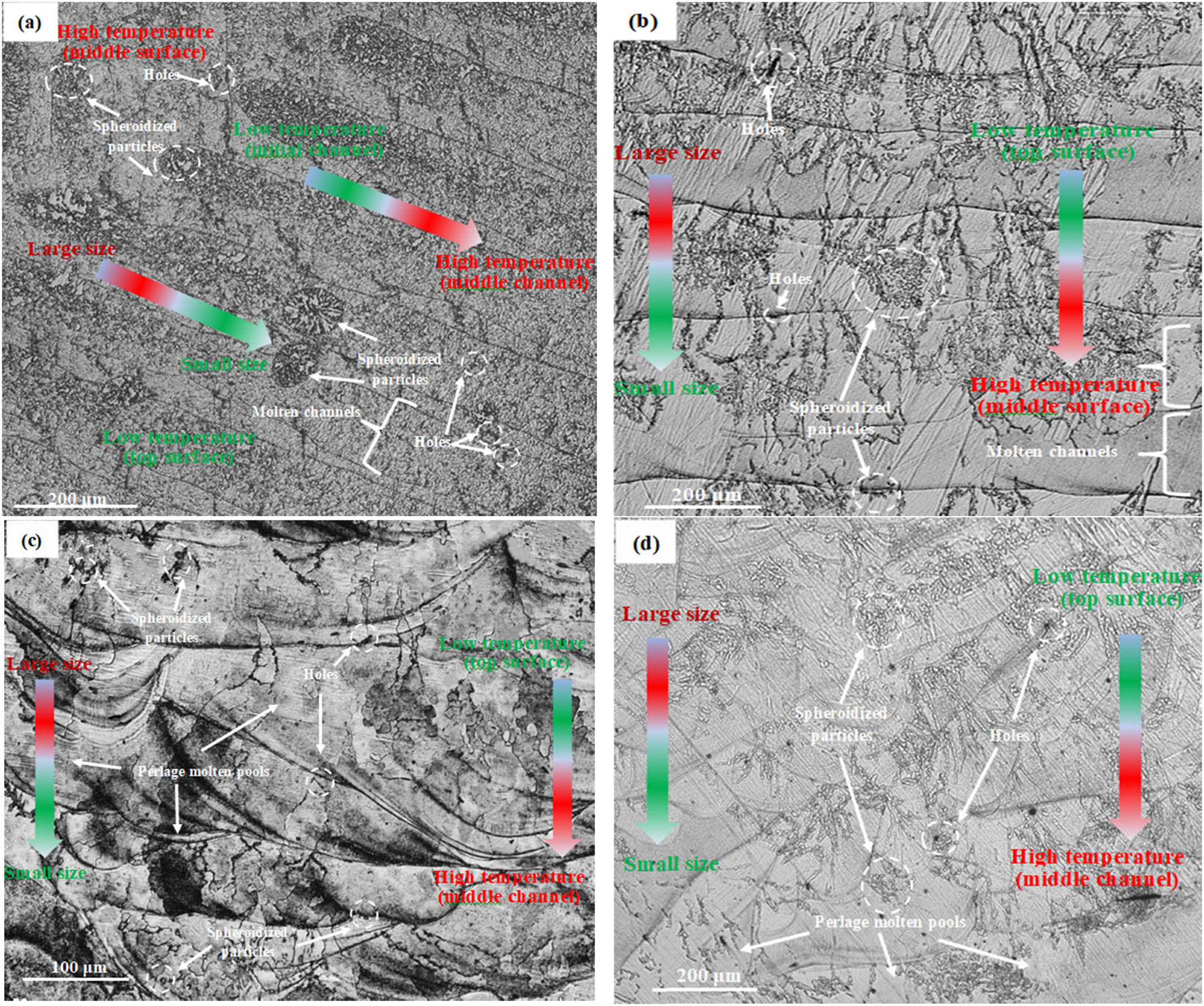 Figure 8
Metallographic phase of samples under different laser power: (a) 160 W, (b) 180 W, (c) 200 W, and (d) 220 W.
