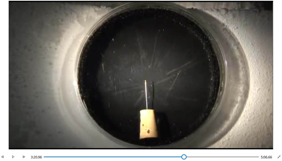 Figure 1 
               Frame #6030 from video [25].
            