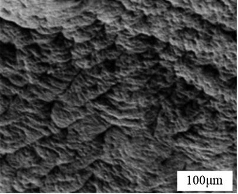 Figure 3
Scanning electron micrograph of local morphology of composite gel particles.