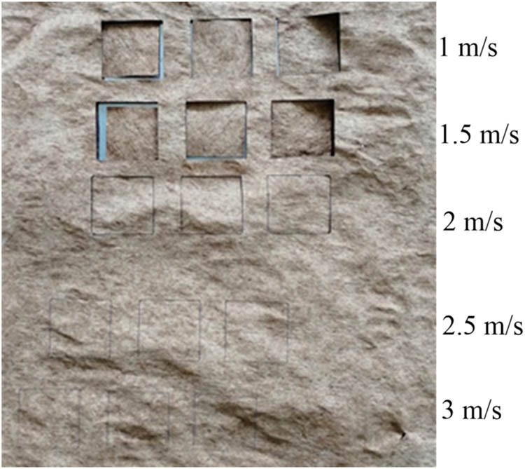 Figure 4
Cutting morphology of tobacco slices under different cutting speeds at a cutting power of 150 W.