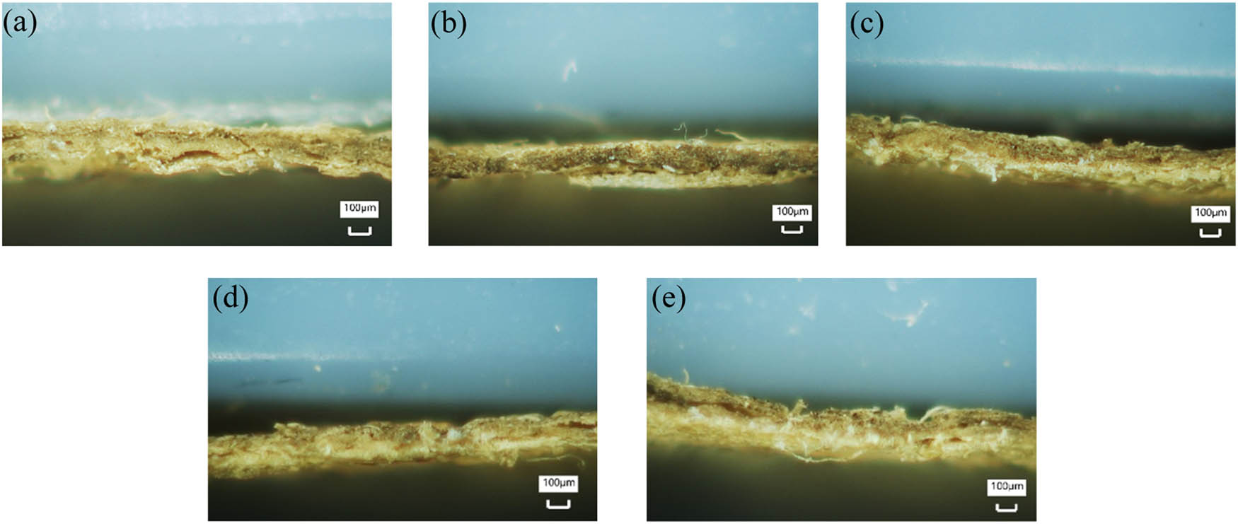 Figure 10
Cross-sectional micrographs of the laser cutting surface of tobacco slice at a cutting speed of 1.5 m/s with different cutting powers: (a) 150 W, (b) 200 W, (c) 250 W, (d) 300 W, and (e) 350 W.