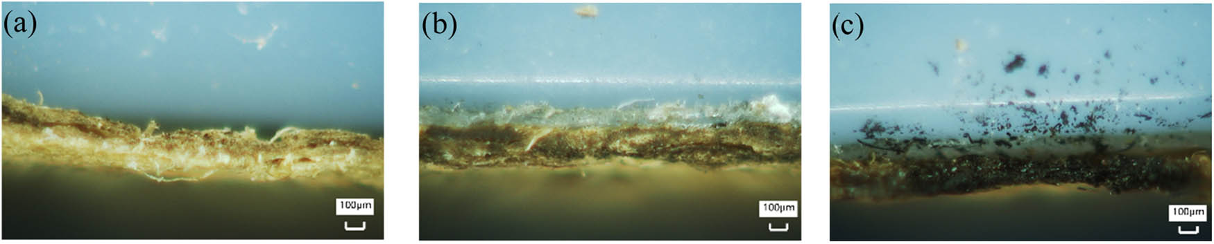 Figure 11
Cross-sectional micrographs of the laser cutting surface of tobacco slice at a cutting power of 350 W with different cutting speeds: (a) 1.5 m/s, (b) 0.5 m/s, and (c) 0.3 m/s.