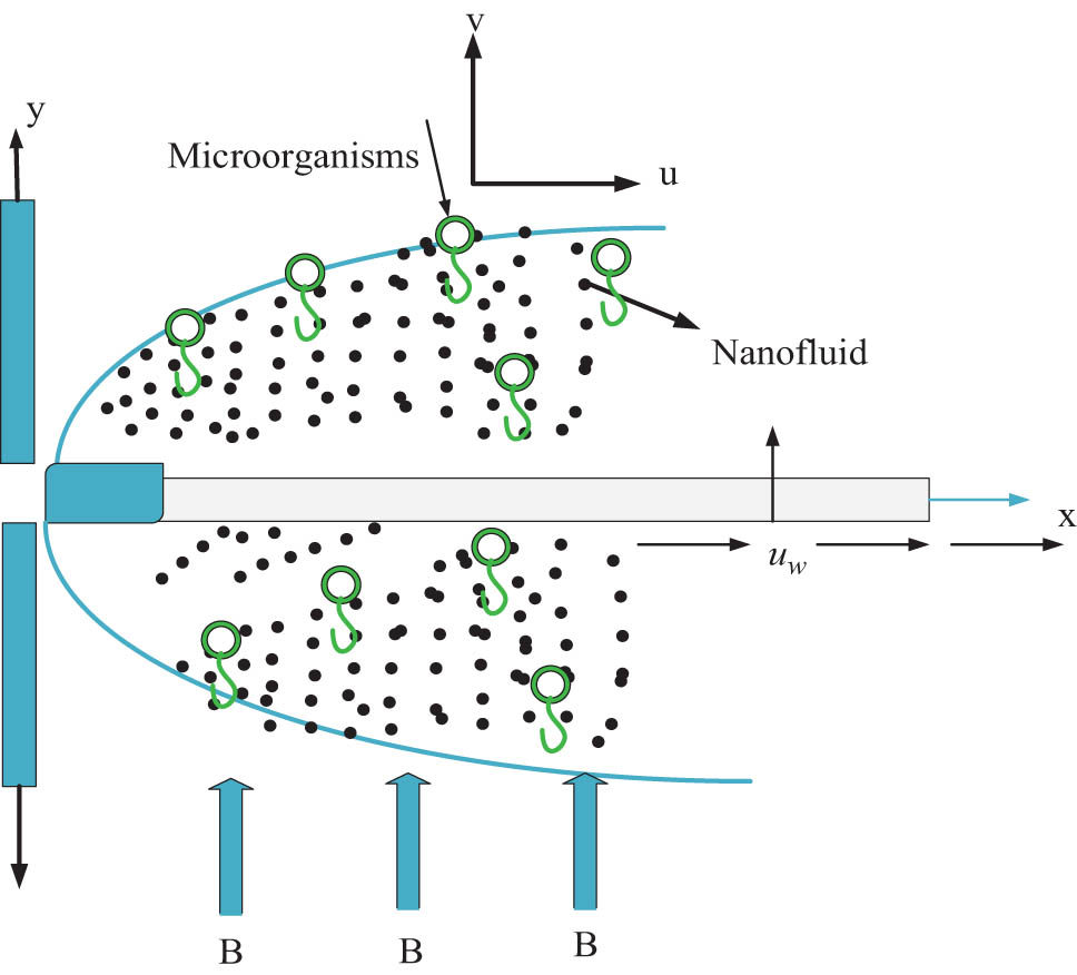 Figure 1 
               Geometry of microorganism nanofluids model.
            