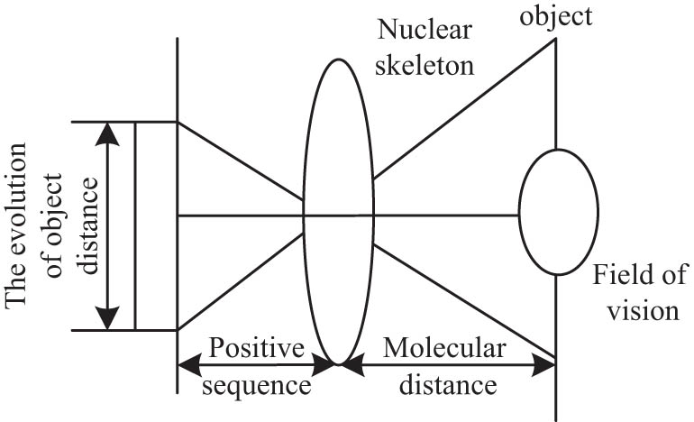 Figure 4 
                  Positive-sequence evolution of molecular constraint dynamics.
               