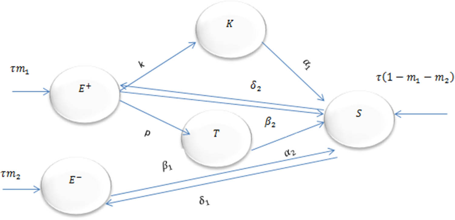 Figure 1 
                  The flowchart representing compartments and their interaction with 
                        
                           
                           
                              
                                 
                                    ESBL
                                 
                                 +
                              
                           
                           {\text{ESBL}}^{+}
                        
                      and 
                        
                           
                           
                              
                                 
                                    ESBL
                                 
                                 −
                              
                           
                           {\text{ESBL}}^{-}
                        
                      
                     E. coli strains within the model.
               