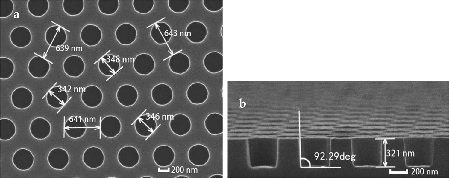 Figure 1
(a) Overhead and (b) cross-sectional SEM micrographs of nanopore arrays.