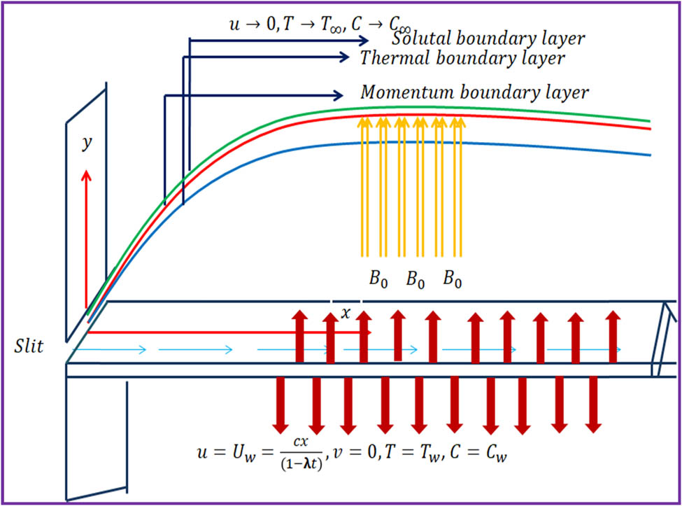 Figure 1 
               Flow diagram.
            