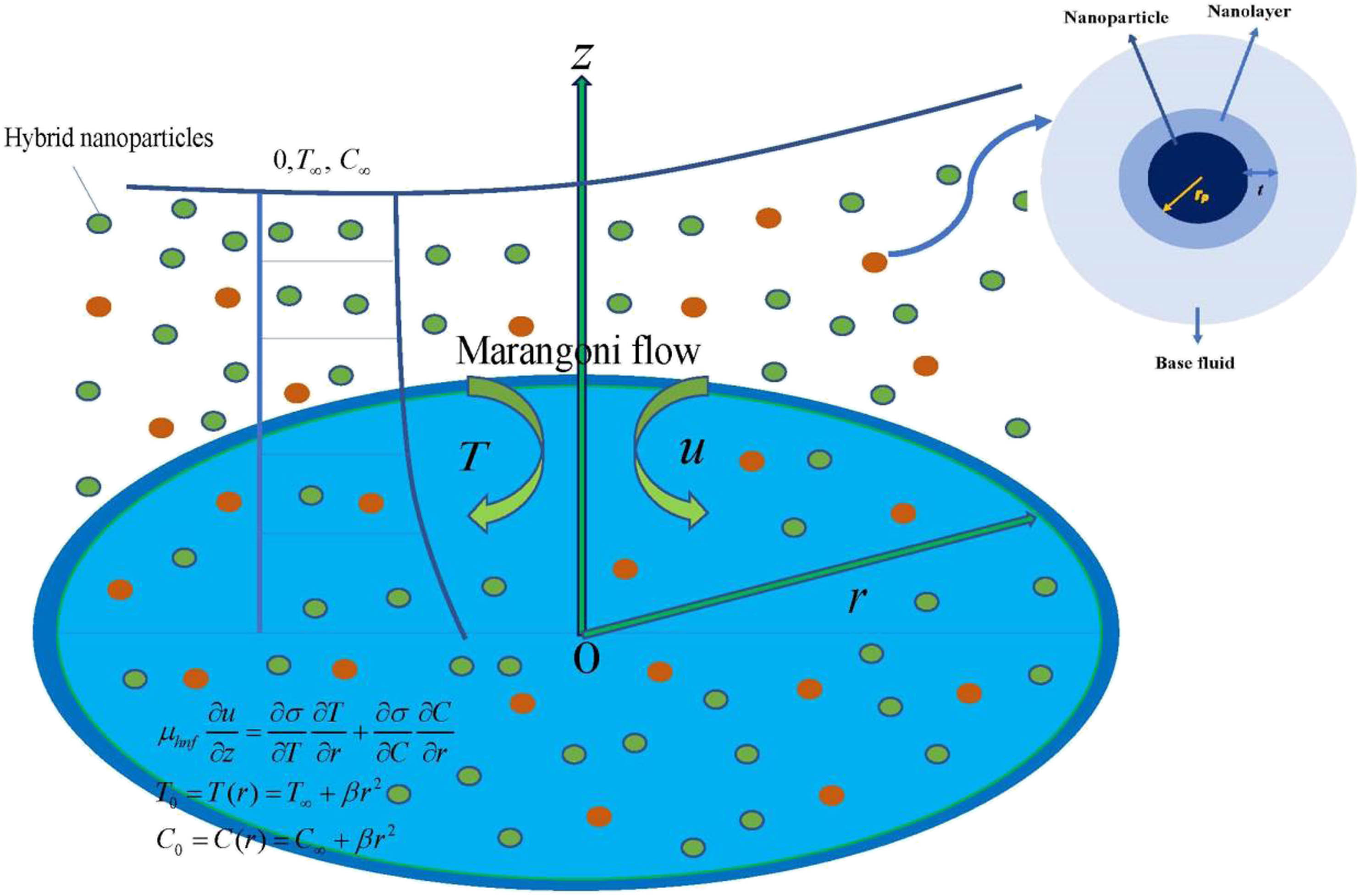 Figure 1 
               Geometry of the problem.
            