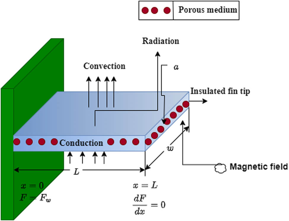 Figure 1 
               Geometrical configuration of the fin.
            
