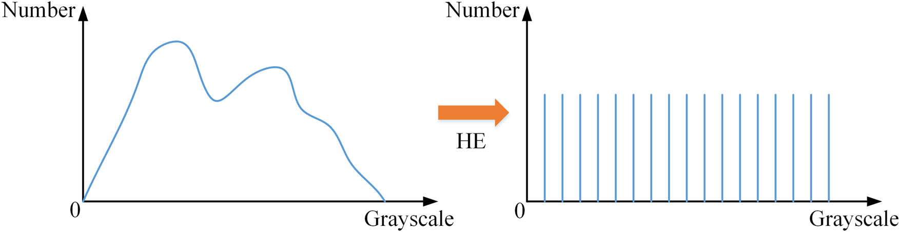 Figure 4 
               Schematic graph of histogram equalization.
            
