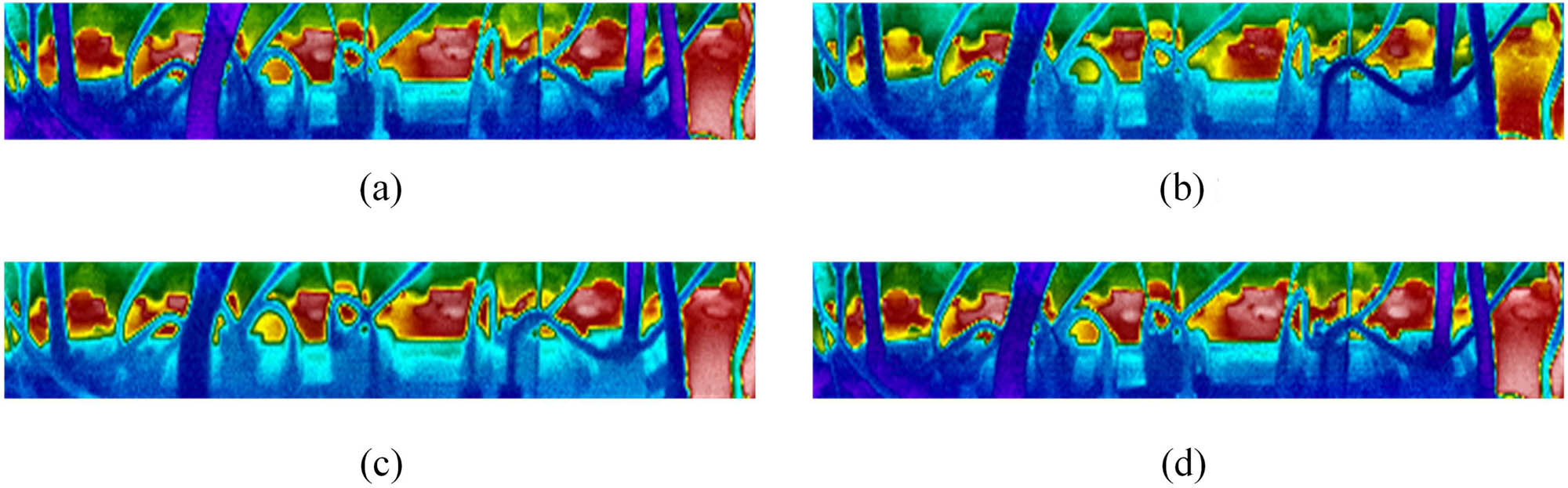 Figure 16 
                  Infrared images of the diesel engine after AHE-based image enhancement: (a) NC, (b) SCM, (c) MCM, and (d) AFB.
               