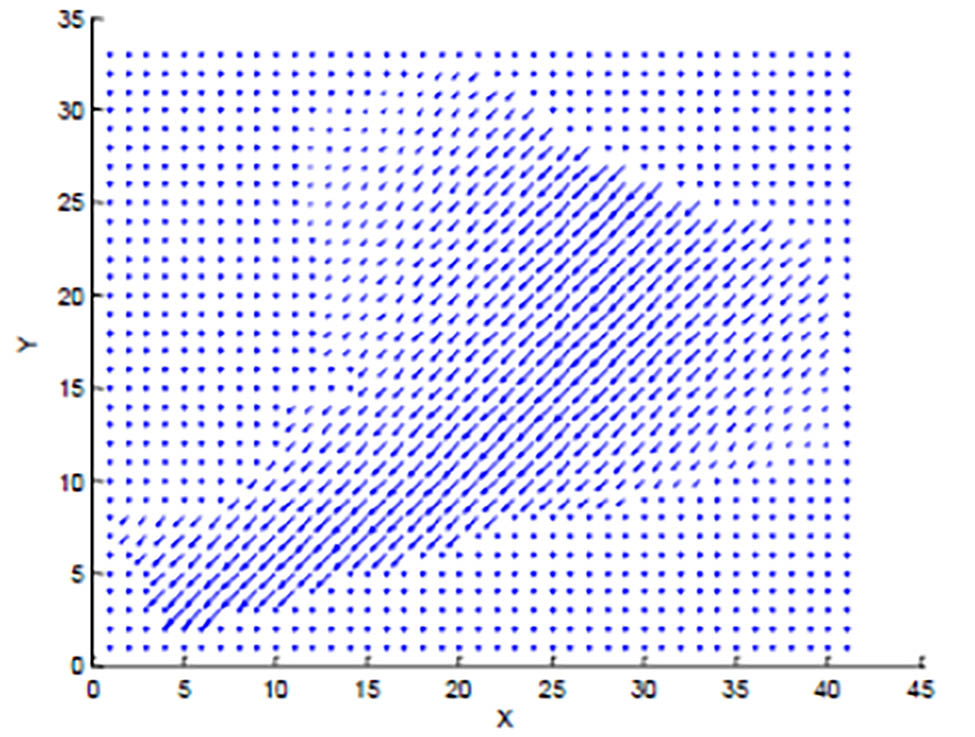 Figure 1 
               The vector field of velocity flow of the domain [22].
            