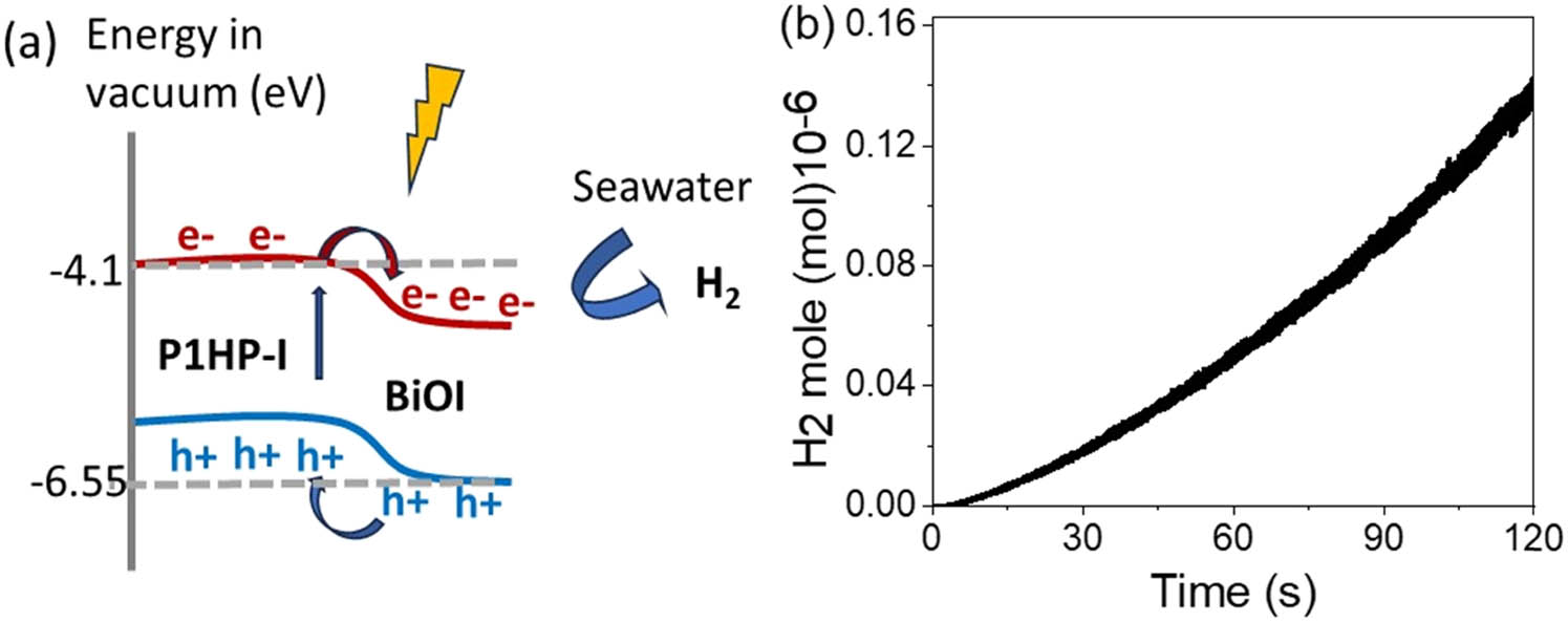 Figure 6 
                  (a) Flow of photogenerated charge carriers through the Bi(iii)OI/I-P1HP system and (b) hydrogen gas production evaluated using Faraday’s equation.
               