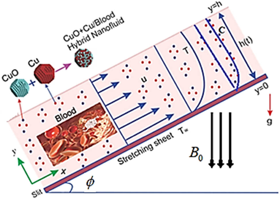 Figure 1 
               Graphical view of the flow problem.
            