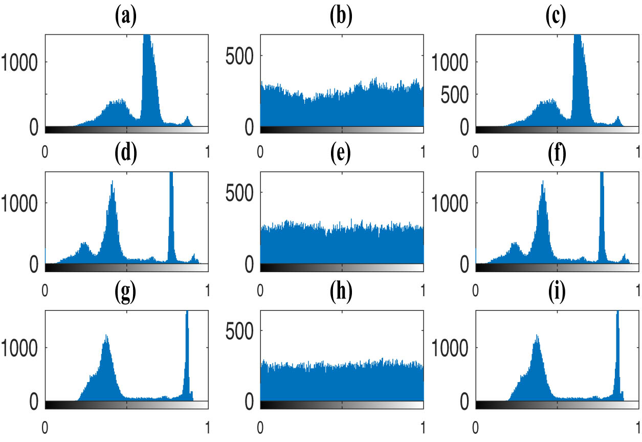 Figure 12 
               Histogram of color image encryption of the “House” image using the 4-DHM (1.2): (a) the histogram of the red component of the original image, (b) the histogram of the red component of the encrypted image, (c) the histograms of the red component of the decrypted image, (d)–(f) the histograms of the green components, and (g)–(i) the histograms of the blue components.