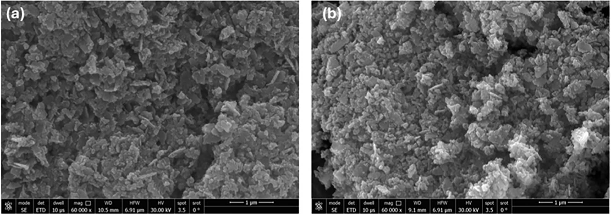 Figure 2 
               The SEM photo of (a) pure ZnO and (b) Zn90Sm10O.
            